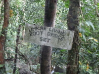 P1050043.jpg