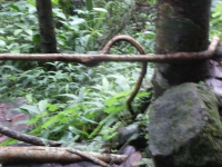 P1050046.jpg