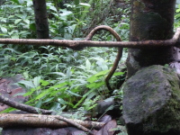 P1050047.jpg