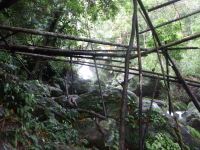 P1050049.jpg