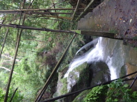 P1050050.jpg