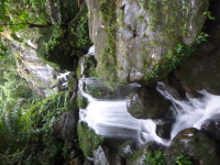 P1050054.jpg