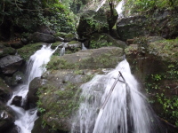 P1050055.jpg