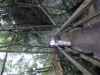 P1050056.jpg