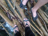 P1050061.jpg