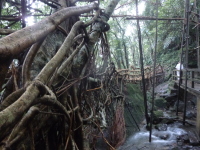 P1050066.jpg