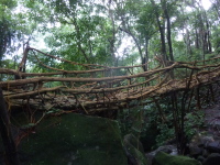 P1050070.jpg