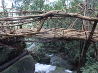 P1050072.jpg
