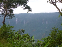 P1050074.jpg
