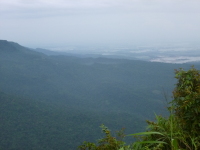 P1050075.jpg