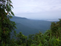 P1050076.jpg