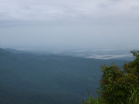 P1050077.jpg