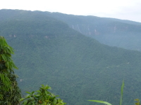 P1050078.jpg