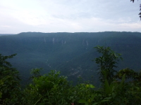 P1050079.jpg