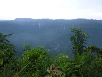 P1050080.jpg