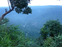 P1050081.jpg