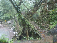 P1050083.jpg