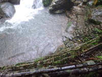 P1050084.jpg