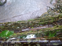 P1050085.jpg