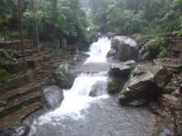 P1050086.jpg