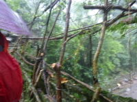 P1050087.jpg