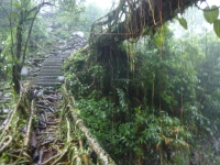 P1050094.jpg