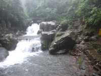 P1050095.jpg