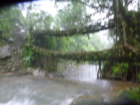 P1050104.jpg