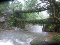 P1050106.jpg
