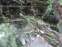 P1050110.jpg