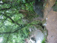 P1050113.jpg