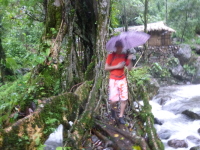 P1050117.jpg