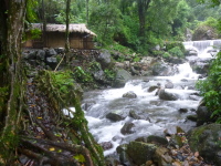 P1050119.jpg