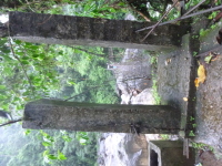 P1050121.jpg