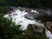 P1050124.jpg