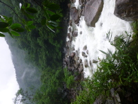 P1050125.jpg