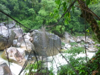 P1050126.jpg