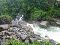 P1050134.jpg