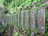 P1050135.jpg