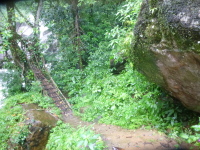 P1050141.jpg