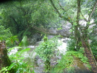 P1050142.jpg