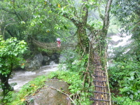 P1050144.jpg