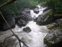 P1050145.jpg