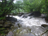 P1050146.jpg
