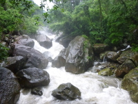P1050147.jpg
