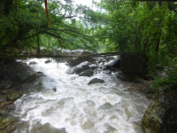 P1050148.jpg
