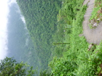 P1050155.jpg