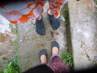 P1050157.jpg
