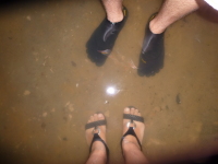 P1050159.jpg