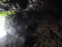 P1050165.jpg